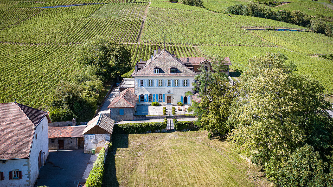 Château Malessert - Cave de La Côte