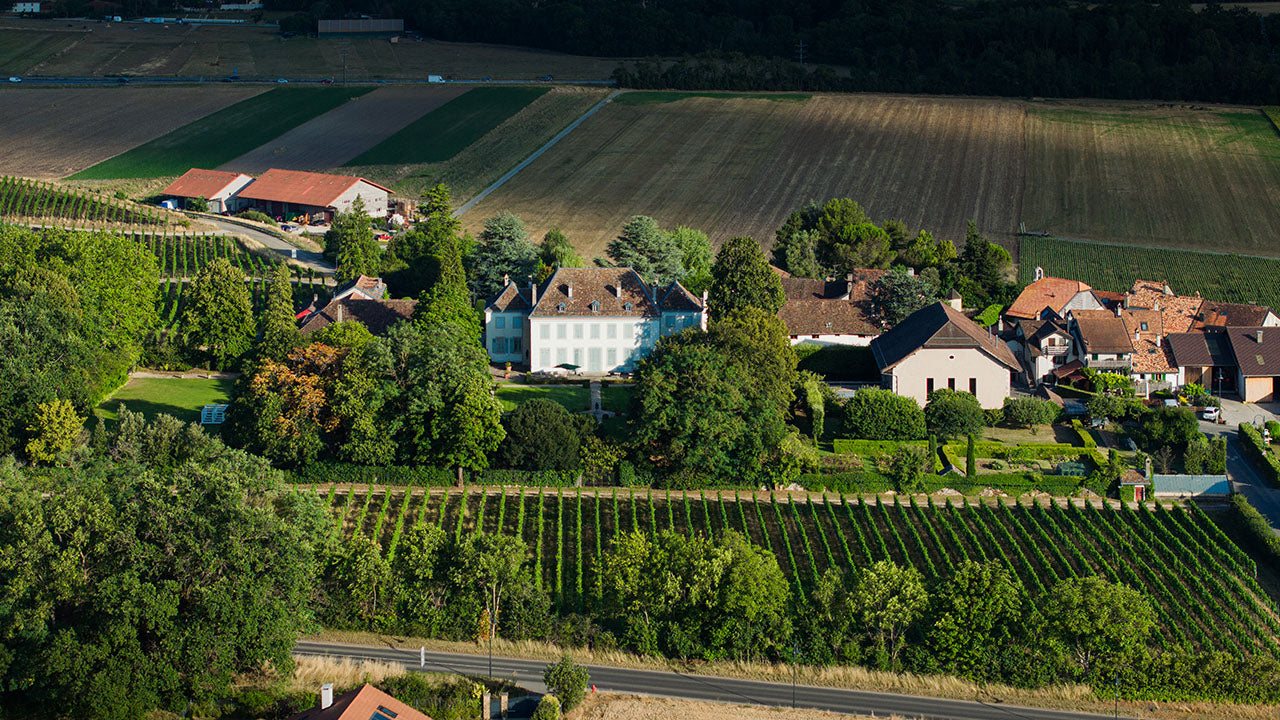 Château de Coinsins