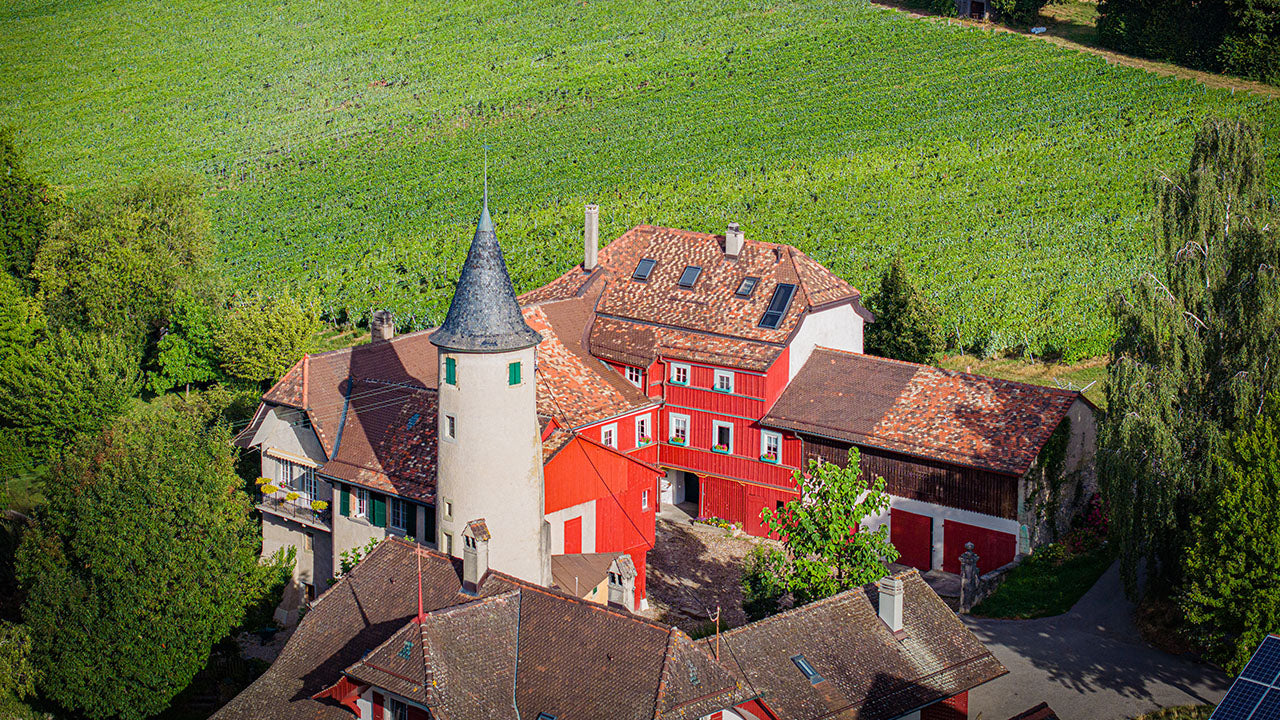 Château d'Es-Bons