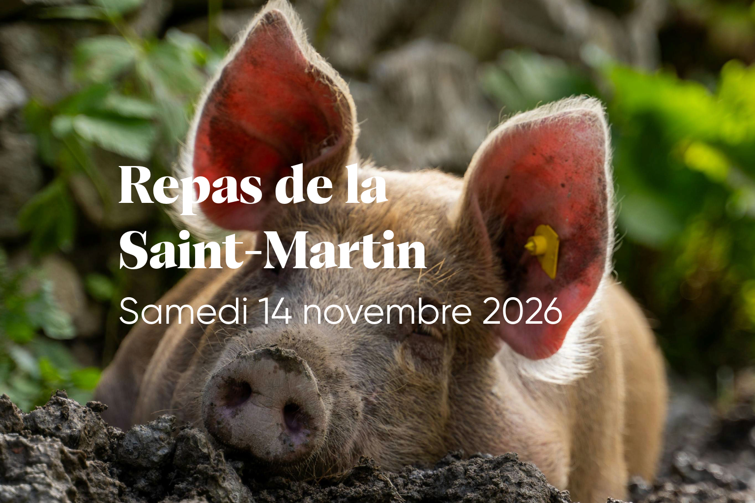 Repas de la Saint-Martin | samedi 14 novembre 2026