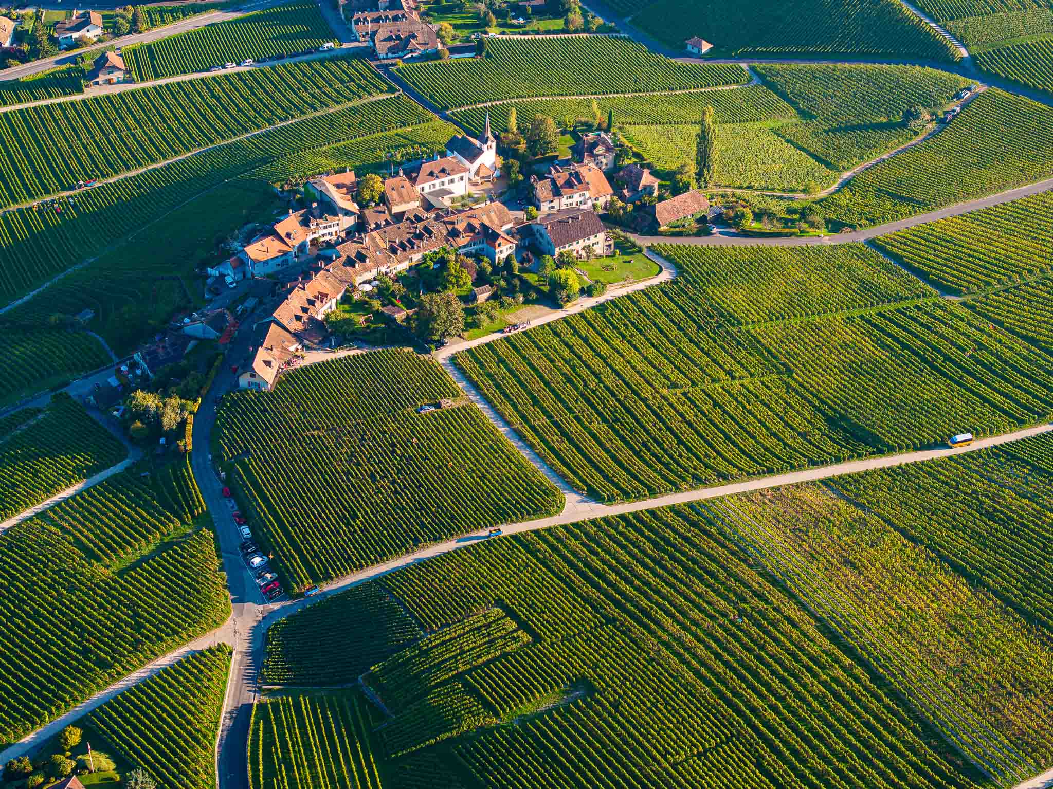 Vue aérienne du village de Féchy entouré de vignes organisées en rangées géométriques, avec des routes sinueuses traversant les parcelles et des maisons aux toits de tuiles.