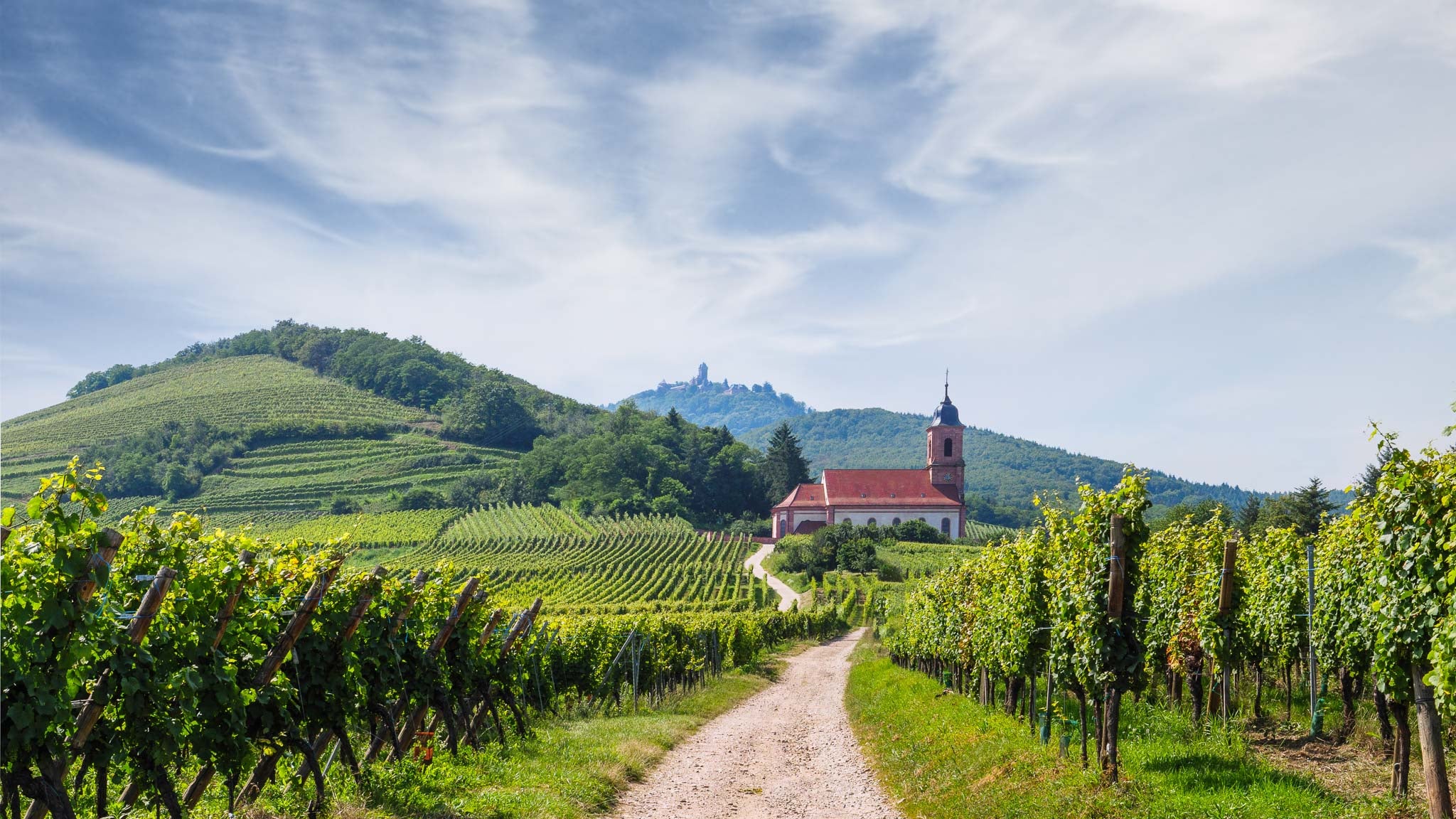 Vinissimo France - Cave de La Côte