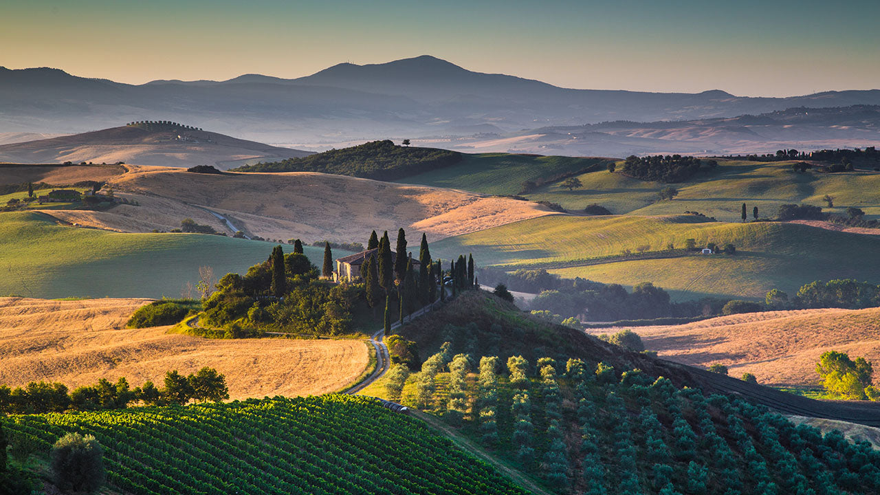 Vinissimo Italie - Cave de La Côte