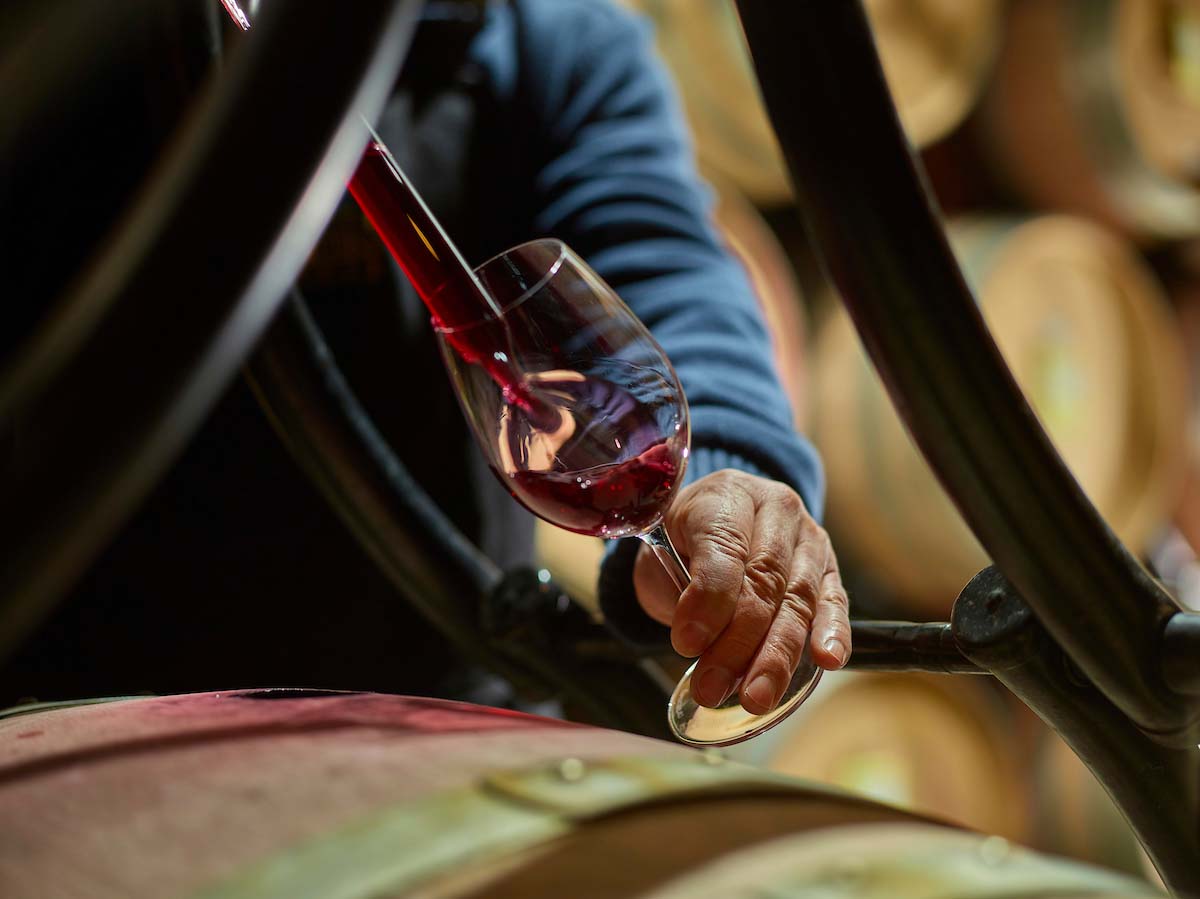 Serving a glass of red wine directly from the barrel. Visit of a wine cellar