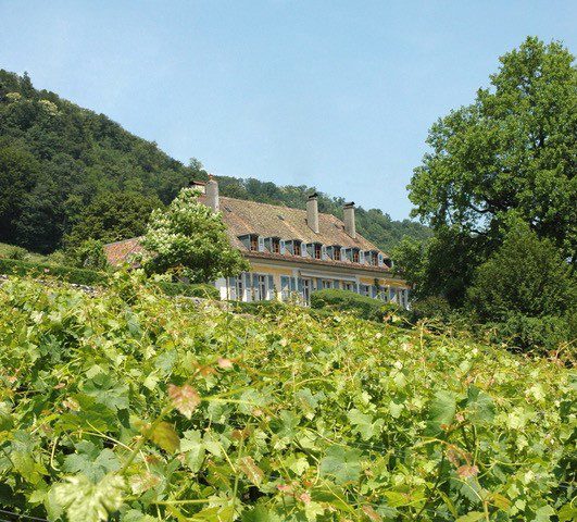 Château La Bâtie à Vinzel entre vignes et arbres. Domaines et Châteaux de la Côte, 