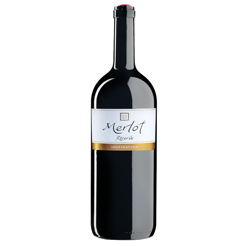 B295417007416.001-web-1000x1000-merlot-reserve-magnum-2-1