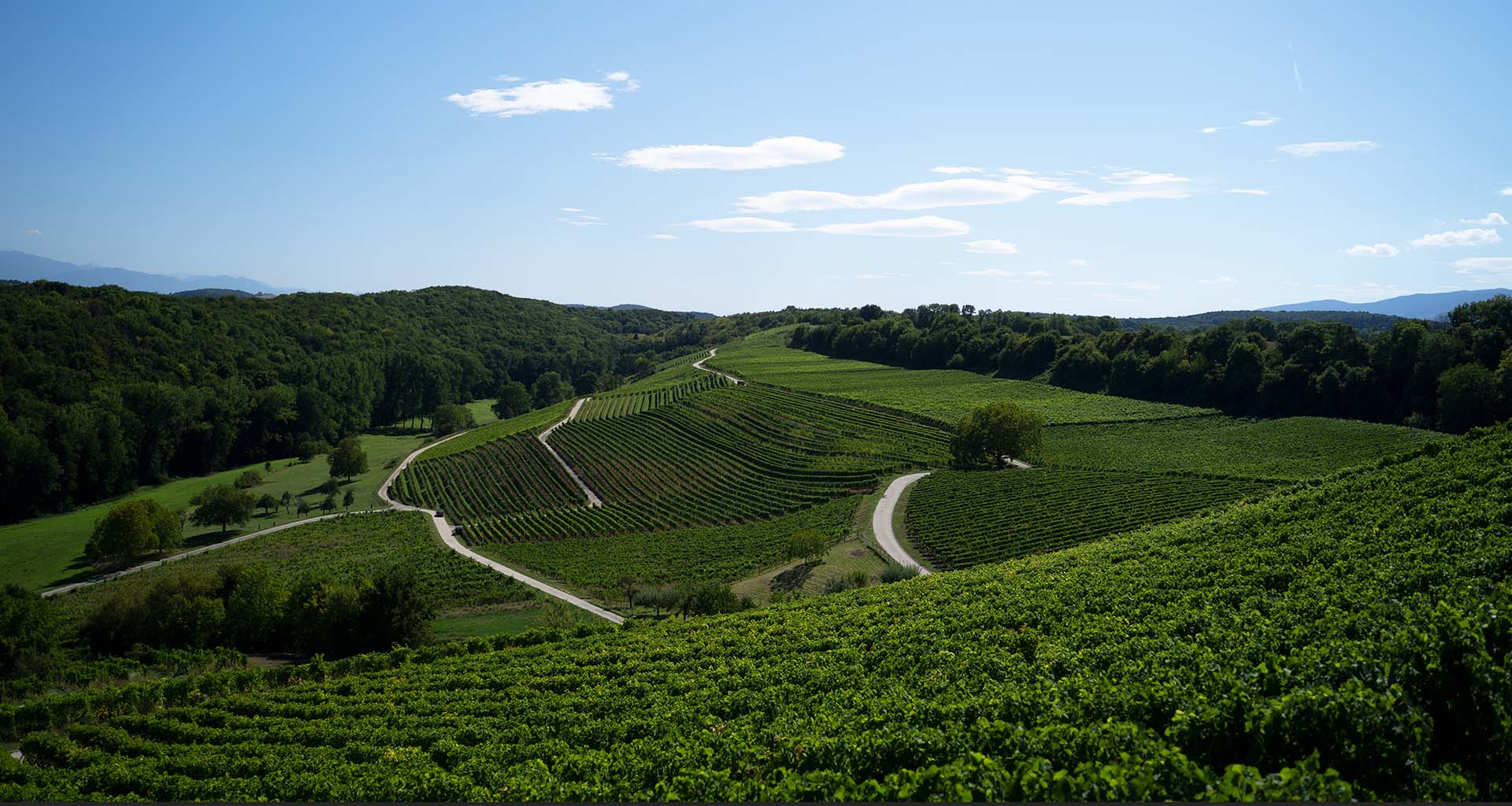 Cave des 13 Coteaux