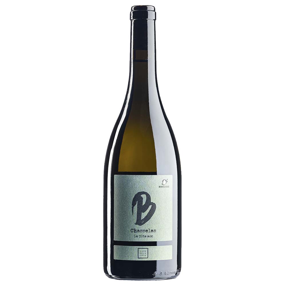 B297631003212.003-web-1000x1000-B-chasselas-vin-nature-9