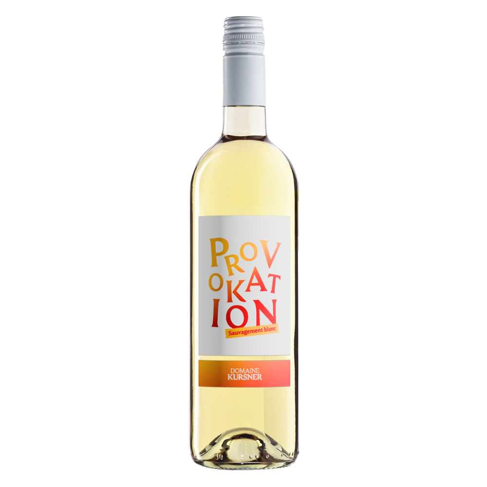 B297714C004551.075-Provokation-blanc-3